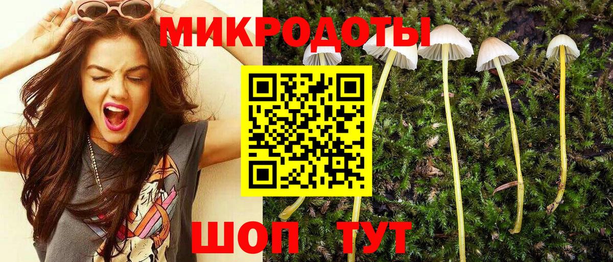 Псилоцибиновые грибы мицелий Каспийск